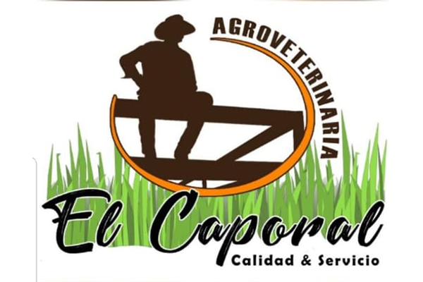 Sistemas Globales - Cliente 1